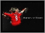 Fernando Torres, Liverpool